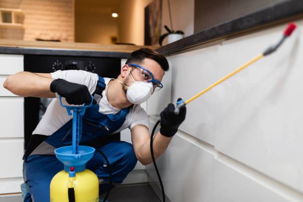 Best Best Pest Control Companies  in Jackson, MO