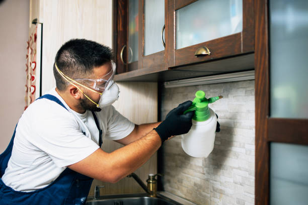 Best Best Pest Control Companies  in Jackson, MO